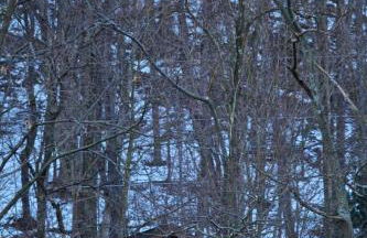 Beautiful Cabin with Hot Tub Surrounded by Trees in Confluence, Pennsylvania - Foto 15