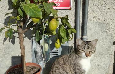 B&B dei Forestieri - Foto 28