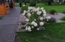 Mużakowski Zakątek - Foto 40