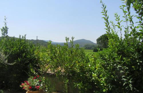 Le Grand Barsan - Photo 17