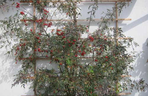 Historisches Ferienhaus Zum alten Standesamt - Foto 45
