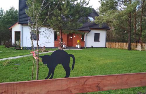 Koci Grzbiet Agroturystyka - Foto 19