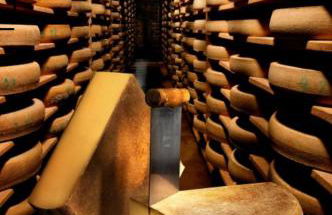 la champagnolaise - Foto 26