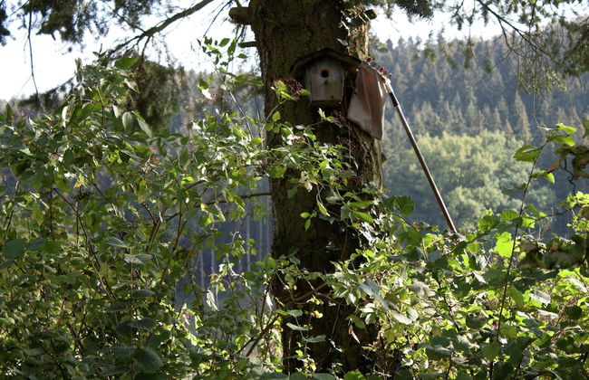 Ruhige Wohnung im Sauerland mit Terrasse - Foto 12