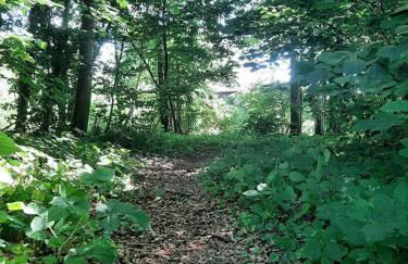 Urlaub in der Bauwagenidylle - Foto 36