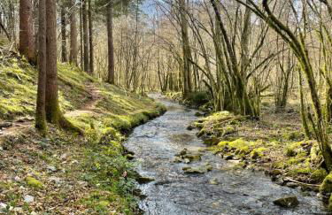 Ortighera Monolocale Relax sulla ciclabile - Foto 34