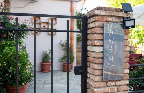 ΑΝeΜΙ - Photo 45