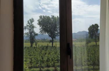 Agriturismo Il Casale del Cavaliere - Foto 6