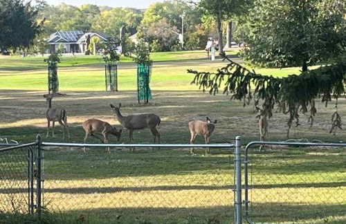 Country Club View in Marion, Iowa - Foto 30