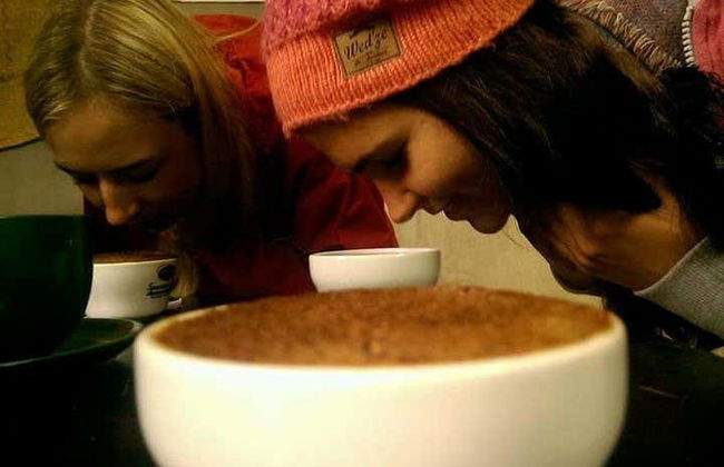 Boquete Coffee Tour - Photo 7