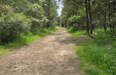 Appartamento tranquillo a 300m dal mare - Foto 34