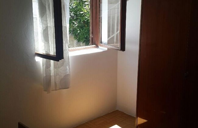 Apartments Andjus - Foto 15