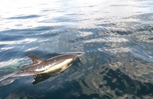 La Maison du Pêcheur - Foto 47