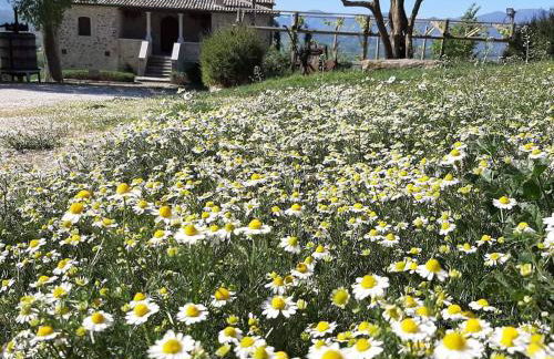 Agriturismo Torre Gialluise - Photo 46