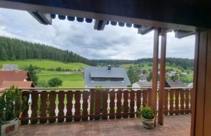 Black Forest Holidays - Auerhahn - Schwarz Wald - Foto 7