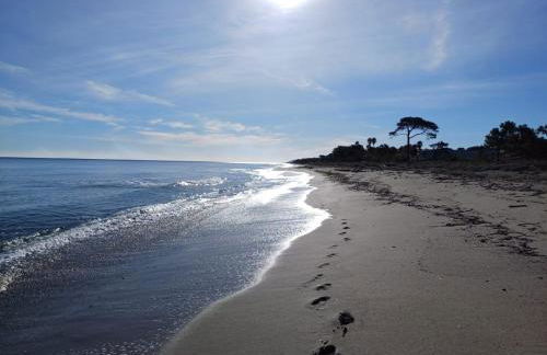 les pivoines - Foto 10