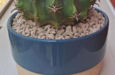 homeliday ACTIVE - Foto 46