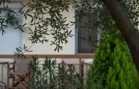 Guesthouse Adonis - Foto 7