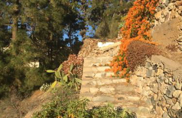 El Mirador - Foto 28