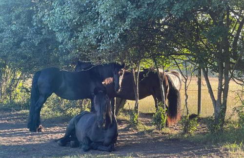 Weidmannsruh - große Ferienwohnung mit 3 Schlafzimmern - Foto 9