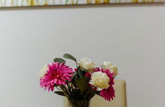 Quinta do Paiva - Jardins do Vale - Foto 12