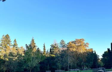 STUDIO HORIZON - SEA VIEW - POOL- Air Conditioner - Kitchen - Wifi -TV Train - Bus - - Foto 22