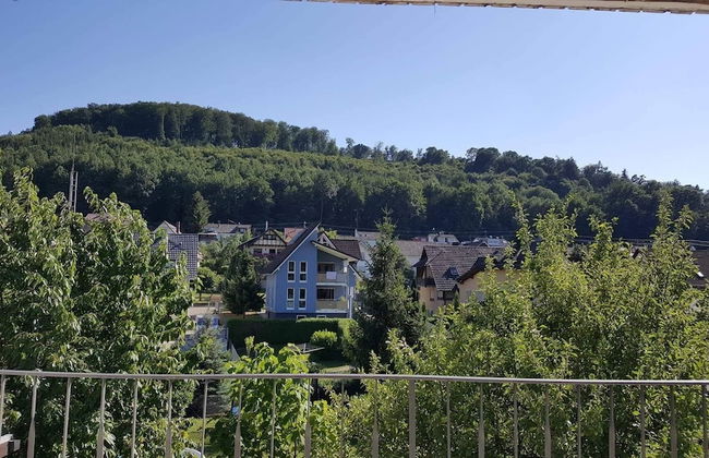 Ferienwohnungen am Naturbad - Foto 9