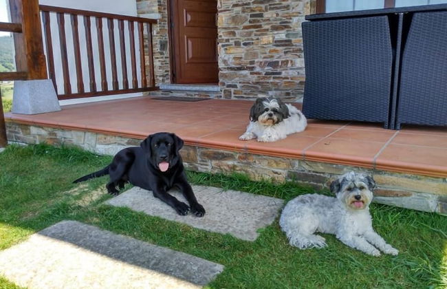 Apartamentos Rurales La Torre - Foto 32