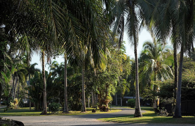 Daintree Beach Resort - Foto 73