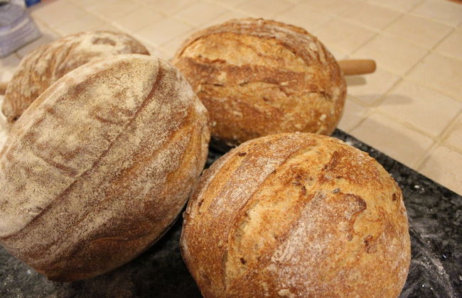 Ecolodge Selvitelle - Escape the Hectic and Submerge in the Nature of Cilento - Photo 6