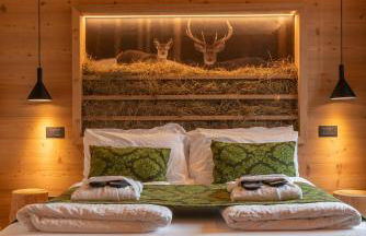 Casera Pian Grand Wellness Lodge - Foto 1