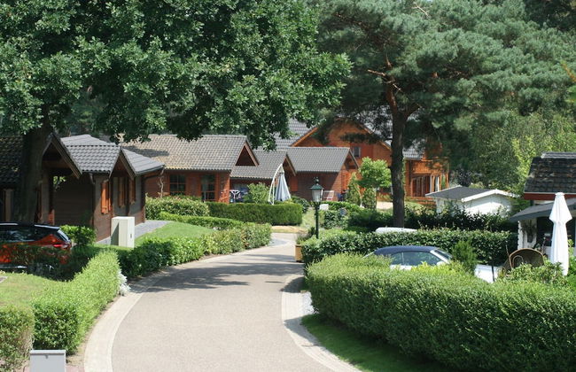 Modern Holiday Home Near Brunssummerheide - Photo 16