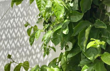 La Casa Móvil. Casa de Artistas - Photo 6