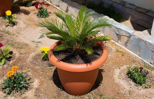 Sunset Resort - Foto 24