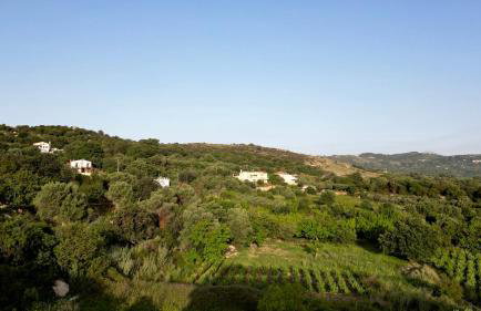 Villa Paris with Rooftop & Jacuzzi - Foto 47