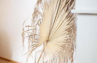 Altes Dorfhaus Sechzehneichen - Photo 13