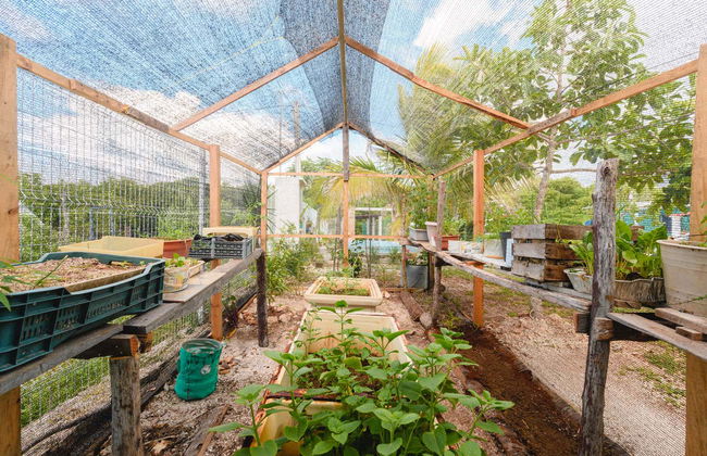 Visita al centro Wotoch Aayin - Foto 7