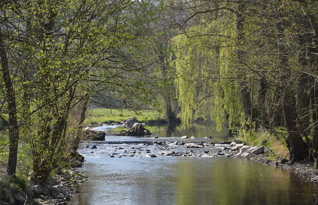 Spacious Family Home, Sosoye - Foto 63