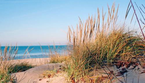 Modern 2BR 2BA New Build Condo with Garage & Patio - Foto 4