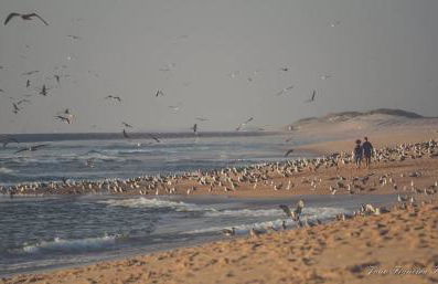 Dom Quixote apartamentos turísticos - Foto 38