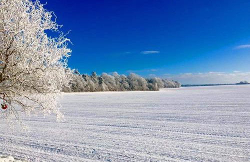 Ferienhaus Seensucht - Foto 20