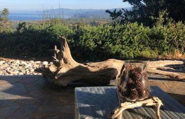 Kyparissia De Wandelboom - Foto 28