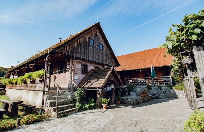 Tourist Farm Pri Martinovih - Foto 49