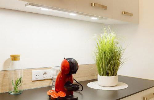 Somptueux appartement - Besançon - Foto 12