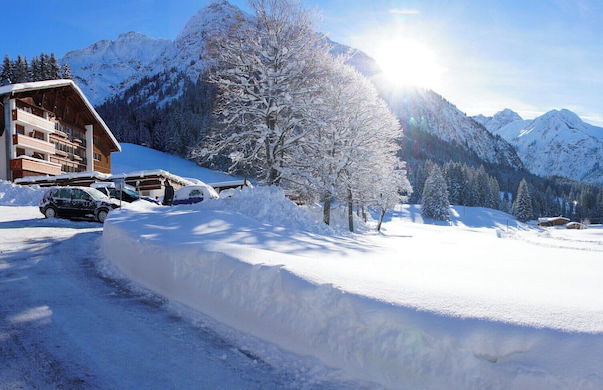 IFA Breitach Apartments Kleinwalsertal - Foto 45