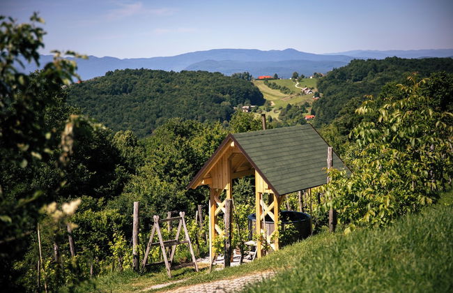 Vineyard cottage Škatlar 3 - Foto 17