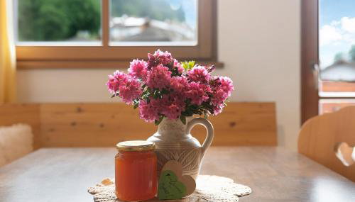 Aurora Moarhof Natur Apartments - Foto 5