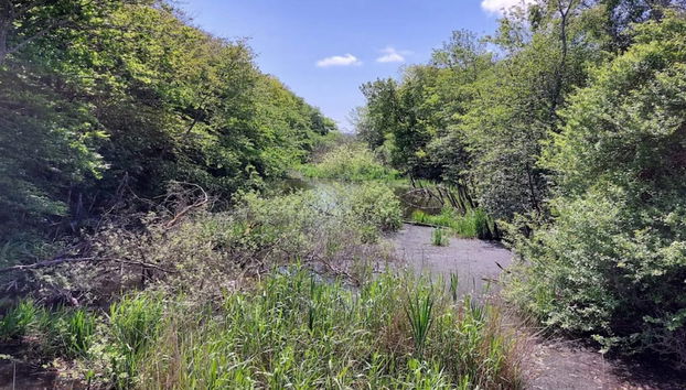 Enchanting Hideaway in Henne Town-by Traum - Foto 3