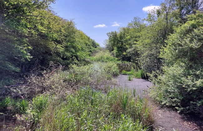 Tranquil Oasis in Henne Strand-by Traum - Photo 9