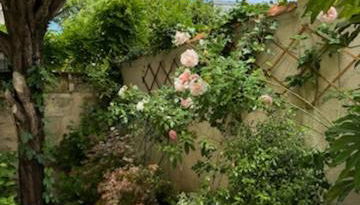 Havre de paix 6 pers Bordeaux Chartrons - Foto 2